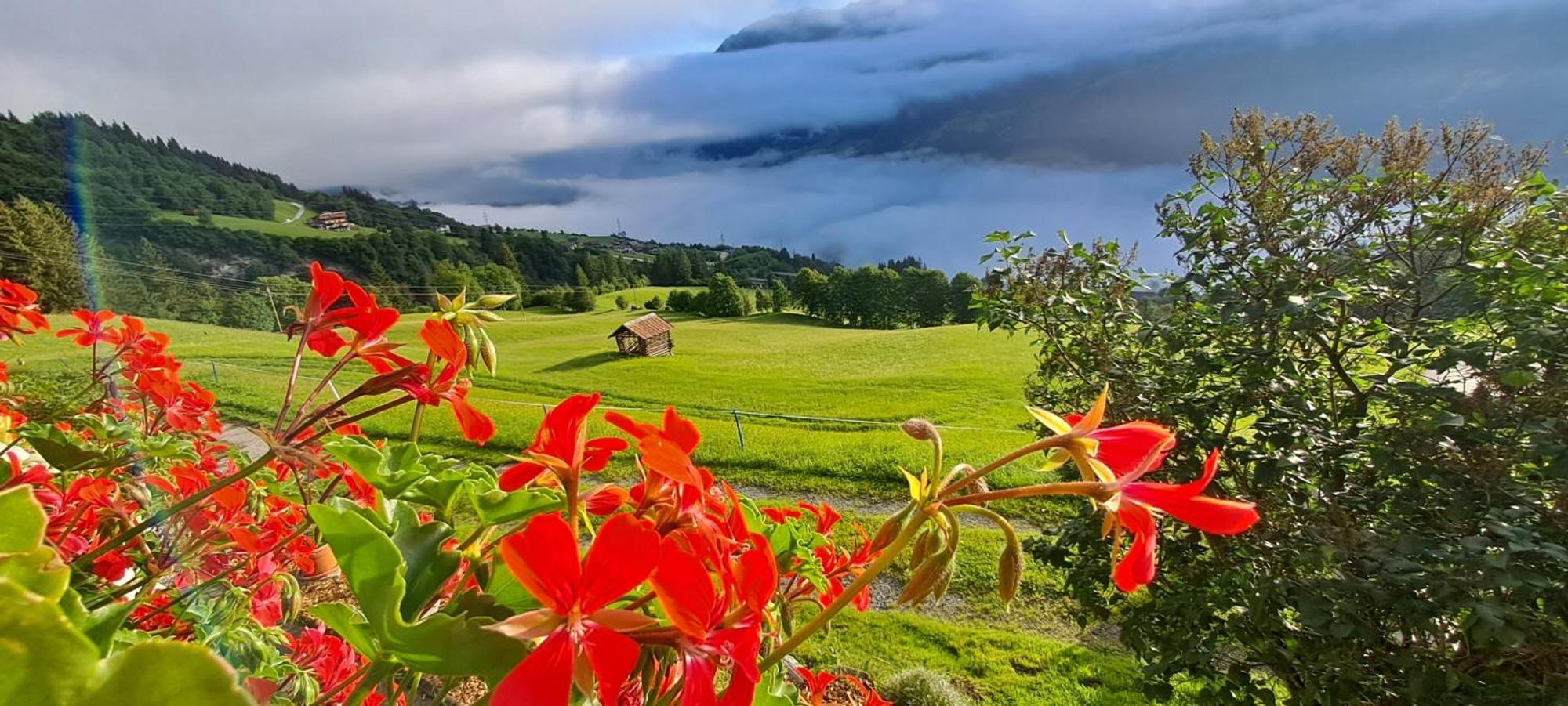 Ferienwohnung Hartlgut Bad Hofgastein Bagian luar foto